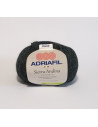 Sierra andina 98