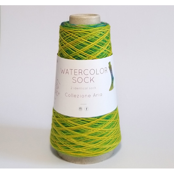 Watercolor sock 100