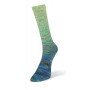 Paint gradient sock 16