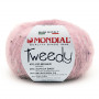 Tweedy 704