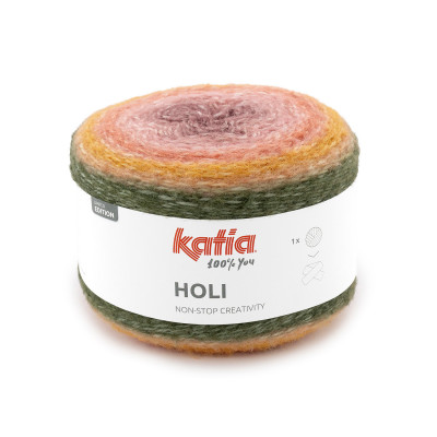 Holi 504