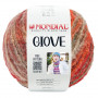 Giove 601