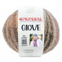 Giove 602