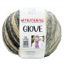 Giove 608