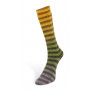 6 ply paint socks 02