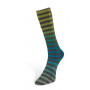 6 ply paint socks 03