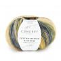 Cotton merino rainbow 500