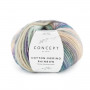 Cotton merino rainbow 502