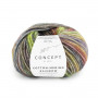 Cotton merino rainbow 503
