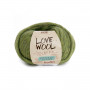 Love wool 113