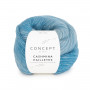 Cashmina paillettes 103