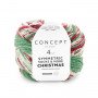 Christmas symmetric socks 102