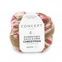 Christmas symmetric socks 202