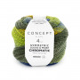 Chromatic symmetric socks 200