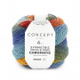 Chromatic symmetric socks 201