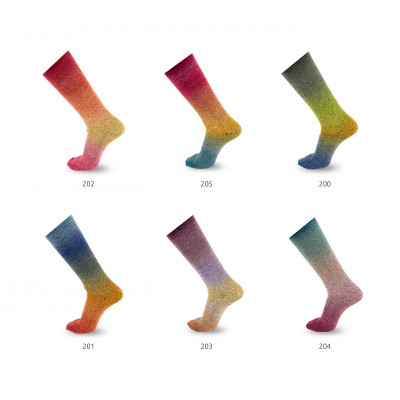 Chromatic symmetric socks 203